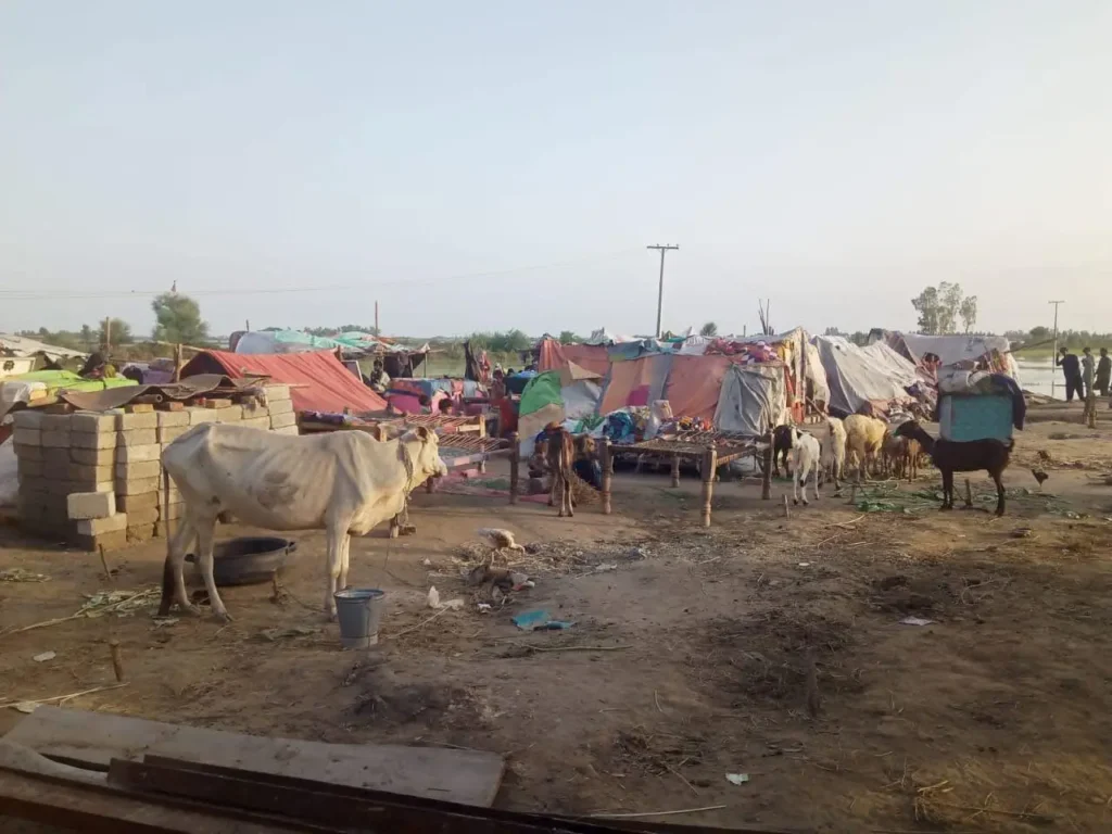 Beyond the Line of Duty – Pages from a Humanitarian Diary 03